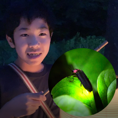 中学2年生の虫博士Daiyaによるホタルの謎！卵から光る小さな命を通して「綺麗な水」を考える
