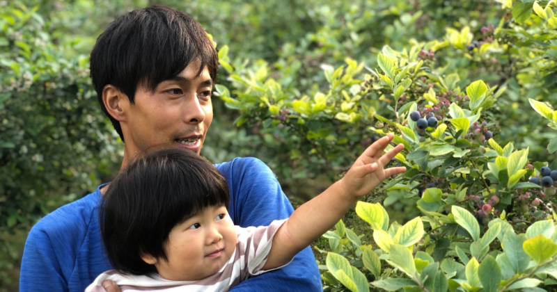 木更津で有機ブルーベリーを育てるイクメン農家！子どもが手で摘んで食べられる安心な果実をお届け