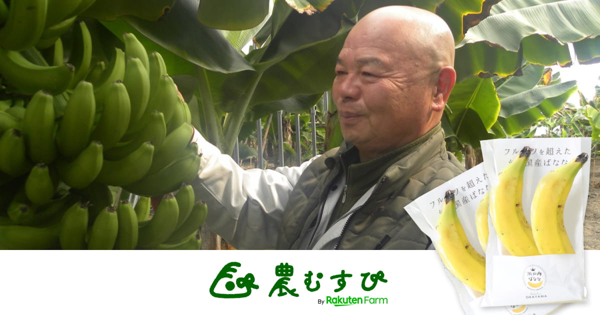 皮ごと食べても安全な国産バナナ！家造りのプロが岡山の新名物に見据える「幻のバナナ」とは？