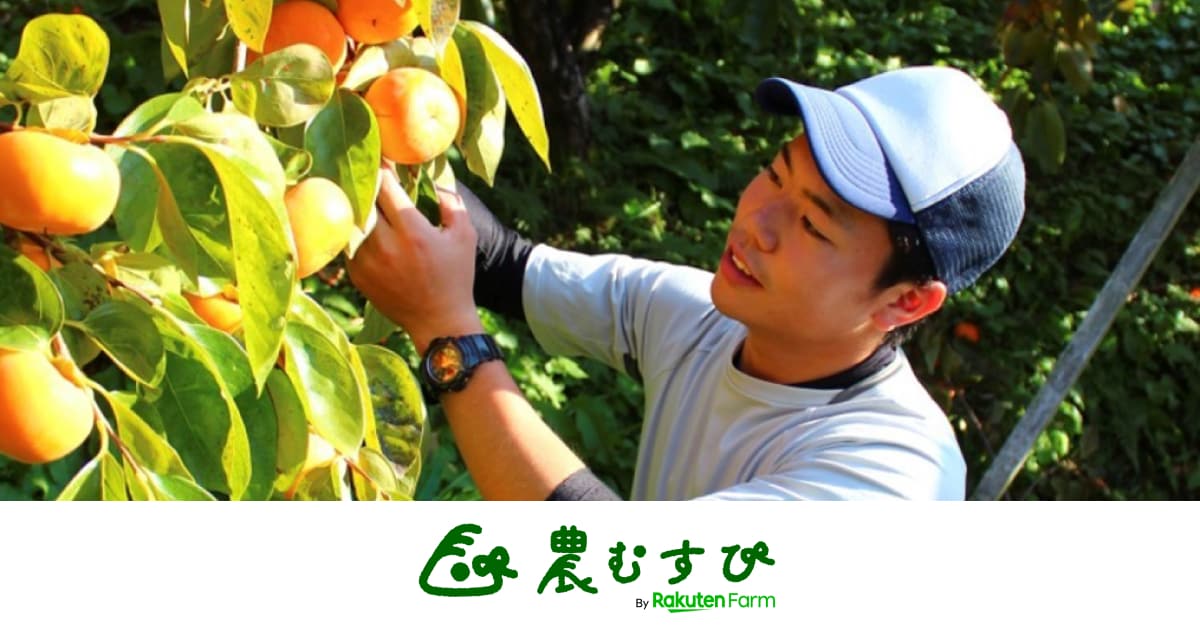 樹上完熟“萩本農園の柿”を全国へ！奈良県の農家5代目が貫く美味しさと安全の「こだわり」とは？