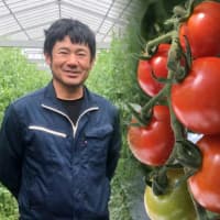 高知発オーガニックトマトは力強い味わい！有機トマト農家が「続く農業」の先で目指す未来とは？